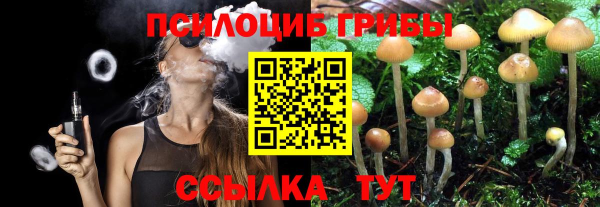 Псилоцибиновые грибы Psilocybe  Псилоцибиновые грибы прущие грибы  купить закладку  Феодосия  Вход с VPN 